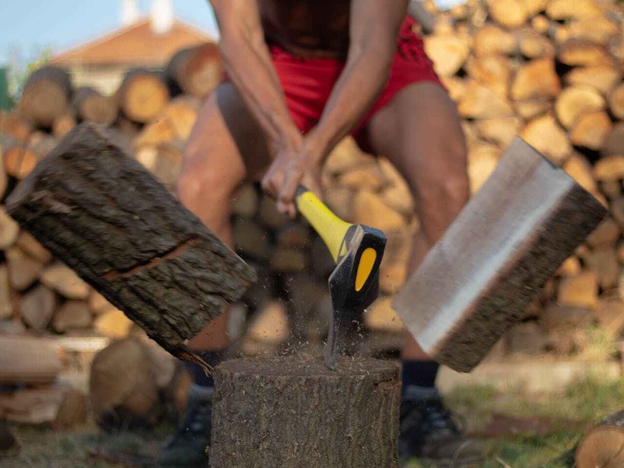 Tree Removal for Businesses in De Kal, TX